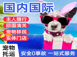 拉萨航空物流国际宠物托运 【国